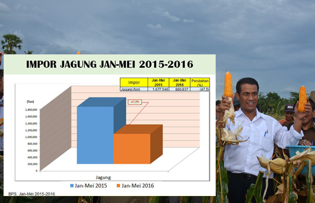 Impor Jagung Turun 47,5%, Mentan Targetkan Luas Tanam 1,5 Juta Hektar